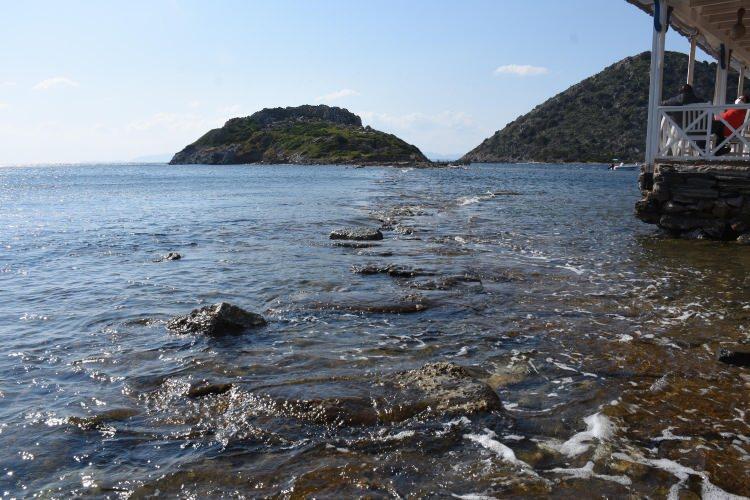 <p>Eğer yol bu şekilde kalırsa bu yaz kral yolundan yürümeyi deneyimlemek istiyorum" diye konuştu.</p>
