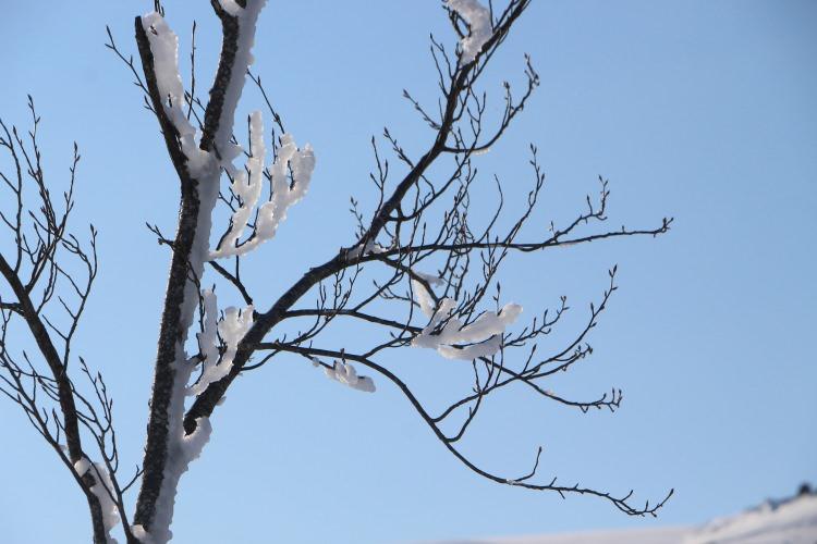 <p>Ailesi ile gezmeye gelen Şaziye Bağlan ise "Buranın yazı ve kışı çok güzel. Gölet şu an buz tutmuş. Yazın da burası çok güzel oluyor, mavi oluyor. Kışın da çok güzel burası" diye konuştu.</p>
