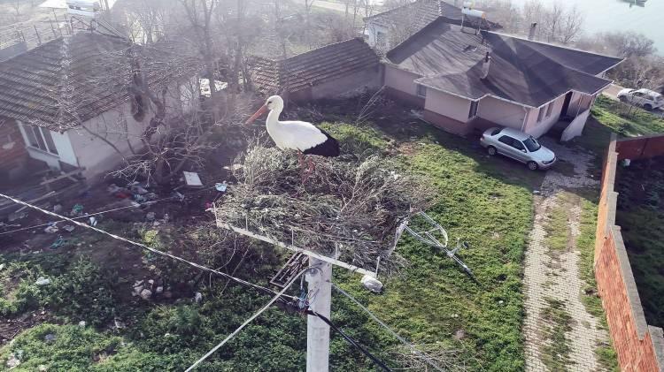 <p><strong>YUVASI İZLENEBİLİYOR</strong></p>
<p>‘Yaren Leylek ve Adem Amca’ hikayesi Doğa Fotoğrafçısı Alper Tüydeş tarafından ortaya çıkarıldıktan sonra, doğaseverler tarafından da ilgiyle takip edilmeye başlandı. 2019 yılında ise Karacabey Belediyesi’nin katkılarıyla, Yönetmen Burak Doğansoysal tarafından filme alındı ve Prag Film Ödülleri'nde En İyi Belgesel ödülünü kazandı. Karacabey Belediyesi, Yaren Leylek ve eşinin bulunduğu yuvanın internet üzerinden 7 gün 24 saat canlı yayın ile izlenebilmesi amacıyla, www.yarenleylek.com sitesini devreye aldı. </p>