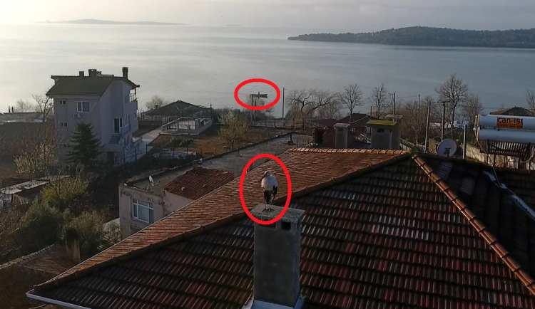 <p>Yaren'in gelmesiyle beraber Eskikarağaç Leylek köyüne insanlar gelmeye başladı. Yaren'e yetişkin olduğu için çip takamadık ama yavrularına bu yıl Karacabey Belediyesi olarak çip takacağız” dedi.</p>