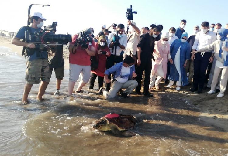 <p>Türkiye'nin Akdeniz kıyıları, Dünya Doğayı Koruma Birliği'nin (IUCN) kırmızı listesinde bulunan ve nesli tehlike altındaki türler arasında yer alan deniz kaplumbağası türü Caretta caretta’ların en önemli yuvalama kumsallarını oluşturuyor. Deniz kaplumbağalarını korumak ve yaşam döngülerini bilimsel olarak takip etmek amacıyla, Çevre ve Şehircilik Bakanlığı iş birliğiyle Dalyan- İztuzu Plajı'ndaki DEKAMER öncülüğünde bu yıl Akdeniz'in en kapsamlı araştırma projesi başlatıldı.</p>
<p> </p>