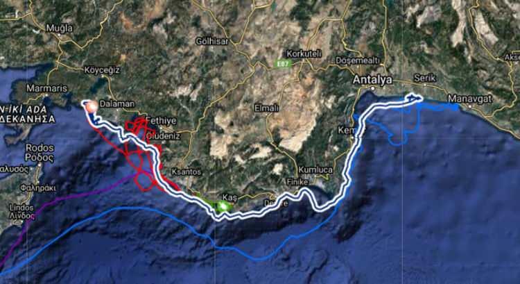 <p><strong>3 İLDEN 5 CARETTA CARETTA DAHA</strong></p>
<p>21 Ağustos'ta ise Antalya Belek kumsalından 'Belek' ve Kadriye' adı verilen 2 Caretta caretta daha çip takılarak denize bırakıldı. 23 Ağustos'ta Muğla-İztuzu Plajı'ndan 'Uğurlu', 29 Ağustos'ta Mersin-Göksu kumsalından 'Mersin' ve 'Göksu' adları verilen iki Caretta caretta'yla birlikte çip takılan deniz kaplumbağası sayısı 8'e yükseldi.</p>