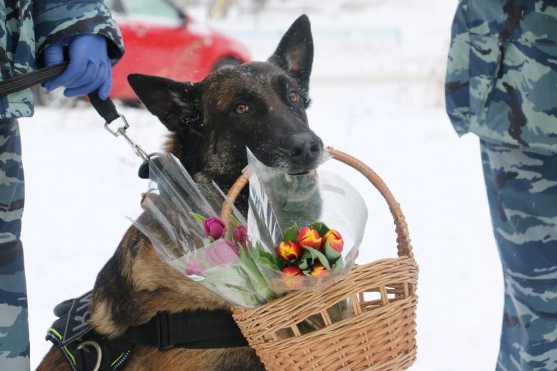 <p>Rusya’nın Tomsk kentinde polis köpeği ‘Fugas’, 8 Mart Dünya Kadınlar Günü kapsamında taşıdığı sepetle kadınlara çiçek dağıttı. O anlar renkli görüntülere sahne oldu.</p>

<p> </p>

<p> </p>
