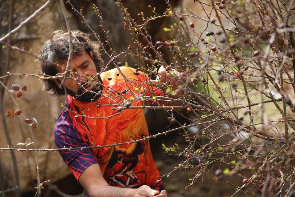 <p>&Ouml;mer T&ouml;remen, 4 yıl &ouml;nce ailevi sorunlar yaşamasının ardından bisikleti ile dolaşmaya karar verdi. Bisikleti ile yollara d&uuml;şen ve kamp yaparak doğada konaklayan T&ouml;remen, zorlu iklim şartlarına meydan okuyarak bug&uuml;ne kadar T&uuml;rkiye'yi 7 kez turladı.&nbsp;</p>

<p>&nbsp;</p>
