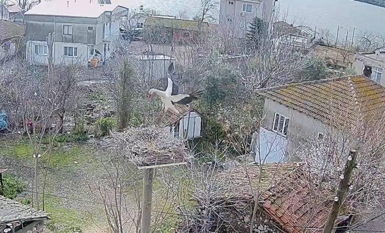 <p>Böylelikle, Yaren Leylek kendisini merakla bekleyenler tarafından takip edilebiliyor.</p>
<p> </p>