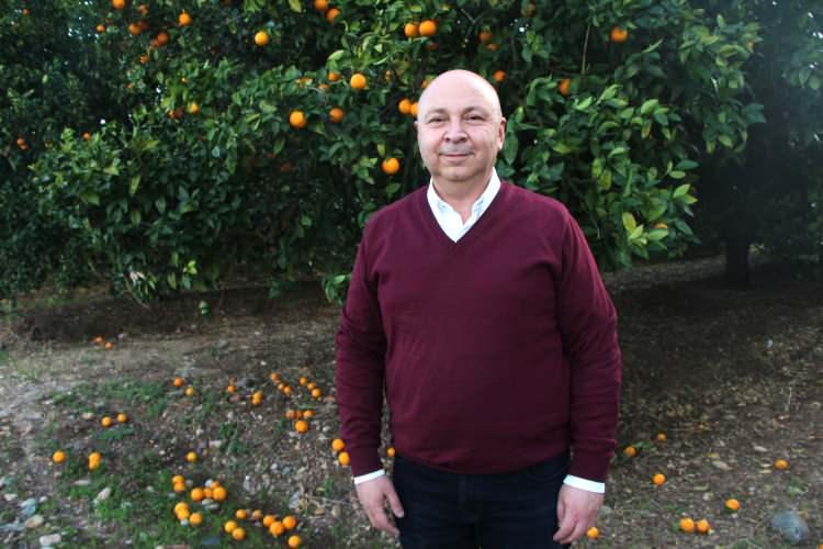 <p>Ancak şalgamcıların önemli bir kısmı yol kenarında 'organik', 'el yapımı', 'anne eli değmiş' adı altında kontrolden tamamen uzak, ne tip ortamda üretildiği belli olmayan, hatta asfaltın hemen kenarında satışı yapılan pek çok şalgamcı ile karşı karşıya gelmemiz mümkün. O şalgam hiçbir şey yoksa o asfaltın tozunu yutuyor. Yine cıva, kadmiyum, kurşun gibi ağır metaller içerme ihtimali yüksek. Bir de bunlar çok da uygun olmayan pet ambalajlara konuluyor. Bu durumda yüksek asitli bir gıda olan şalgama geçebilecek istenmeyen birtakım bileşenler olabiliyor" diye konuştu.</p>