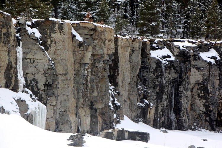 Kentin kaderini değiştirecek keşif! Milyonlarca yıl &ouml;ncesine ait