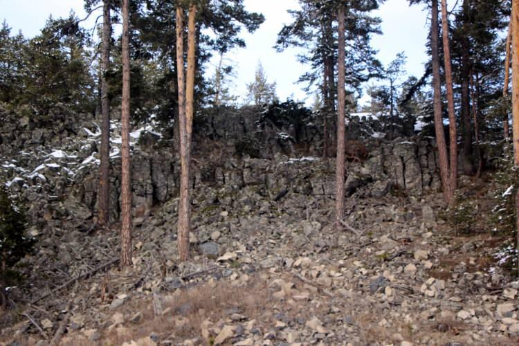 Kentin kaderini değiştirecek keşif! Milyonlarca yıl &ouml;ncesine ait