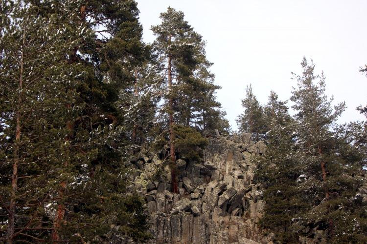 Kentin kaderini değiştirecek keşif! Milyonlarca yıl &ouml;ncesine ait