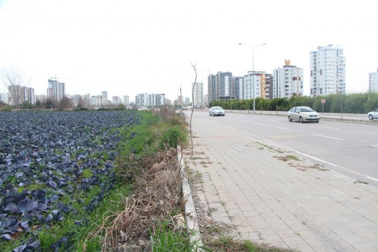 <p>Özellikle sebze konservelerinde uygun asitlik ayarlanmadığı takdirde bunların bir kısmı zehir saçabilir. Biz bunların yerine tercihen cam ambalajlarda ve otoklavlanarak üretilmiş endüstriyel konserveleri tercih ediyoruz. </p>