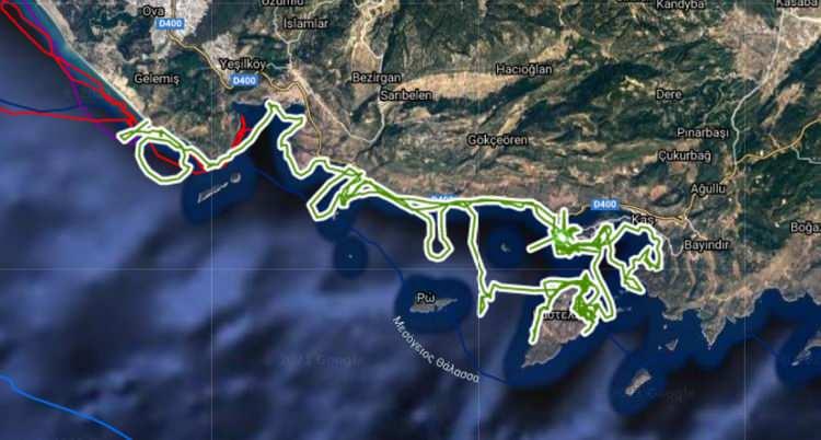 <p><strong>MAVA VAKFI'YLA 3 CARETTA İZLENİYOR</strong></p>
<p>DEKAMER'in MAVA Vakfı desteğiyle yürütülen Akdeniz Havzasında Deniz Kaplumbağalarının Korunması Projesi kapsamında Fransa, Kuzey Kıbrıs, Tunus, Yunanistan'dan ortaklarla yuvalama kumsallarının korunması, iklim değişikliğinin etkilerinin izlenmesi, göç yollarının ve kışlama alanlarının belirlenmesi gibi konu başlıklarının olduğu ortak projede ise 3 Caretta caretta uydu takip cihazıyla izleniyor. Üçü de 23 Ağustos 2020'de İztuzu Plajı'ndan denize bırakılan Efe (25-30), Tonyukuk (35-40) ve Mava (25-30), plaj bölgesinden hiç ayrılmadı.</p>