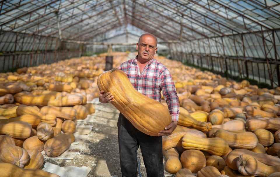 <p>Antalya'daki bal kabağı üretiminin yaklaşık yüzde 70'inin karşılandığı Konyaaltı ve Doyran'daki üreticiler, hasadı tamamladı. Camdan seralarda istiflenen tonlarca bal kabağına alıcı bekleyen üretici, pandemi nedeniyle satış olmamasından şikayet etti. Önceki yıllarda otel, restoran ve lokantaların bal kabaklarını ton ton satın aldığını kaydeden üretici, şimdilerde tonlarca ürünün çürümeye terk edildiğini belirtti.</p>
