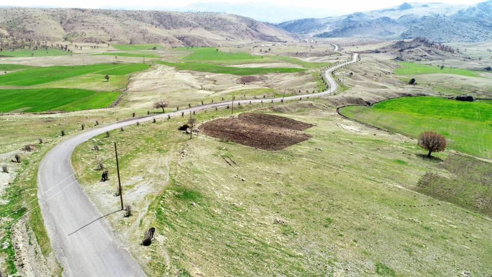 <p>Yağmur yağmayınca ağa&ccedil;ları imece usul&uuml; sulayan mahalleli, kurumaması i&ccedil;in destek bekliyor.&nbsp;</p>
