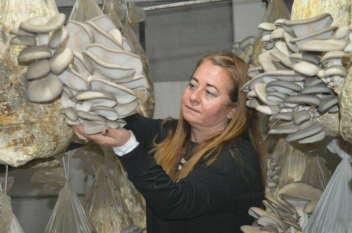 <p>Özlem Çınar, bir ortak bularak Aşağısöğütönü mahallesinde bir mantar üretim tesisi kurdu ve pamukla mantar üretmeye başladı. İlk veriminden beri çokça sipariş alan Çınar, artık gelen siparişlere yetişemediği belirterek, kısa sürede üretim alanını genişleteceği planlanıyor.</p>