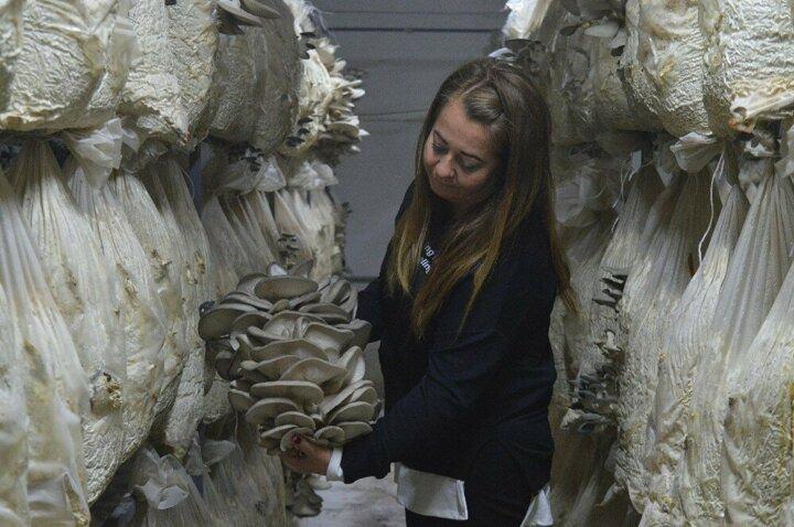 <p>Odaların her biri 12 ton hammadde alıyor. Üretmek çok güzel, hem ev ekonomisine hem de yaptığım işle kendime güvenim artıyor. Evde oturmak yerine dışarı çıkıp bir şeylere katkıda bulunmak daha güzel bir şey” şeklinde konuştu.</p>