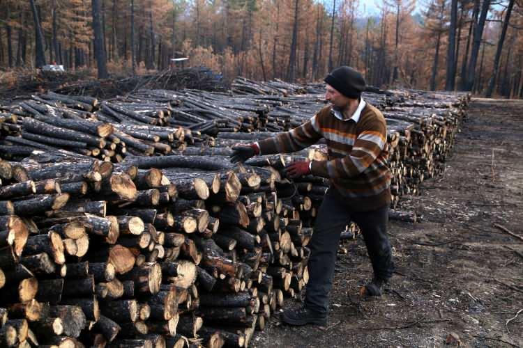 <p>Taşk&ouml;pr&uuml;&nbsp;il&ccedil;esine bağlı Derekaraağa&ccedil; k&ouml;y&uuml; Dumanlı Mahallesi'ndeki ormanlık alanda ge&ccedil;en yıl eyl&uuml;l ayında &ccedil;ıkan ve 2 g&uuml;nde s&ouml;nd&uuml;r&uuml;lebilen&nbsp;yangında&nbsp;yaklaşık bin hektar alan zarar g&ouml;rd&uuml;.</p>
