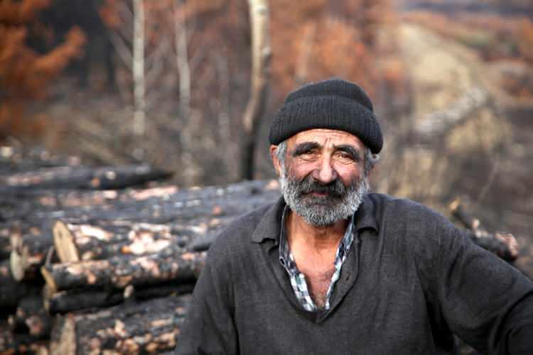 <p>Bu kapsamda ilk olarak b&ouml;lgede ne kadar ağa&ccedil; yandığını belirlendi,&nbsp;ardından&nbsp;yanan&nbsp;ağa&ccedil;lar kesilmeye başlandı.</p>
