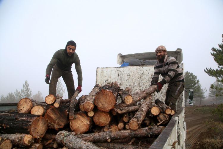 <p>&Ccedil;elikbaş, b&ouml;lgede kesim işleminin devam ettiğini belirterek, "Ardından burayı tekrar&nbsp;yeşillendireceğiz. Bir orman m&uuml;hendisinin gayesi yeşil vatandır. Burayı da en kısa s&uuml;rede eski haline getireceğiz." ifadesini kullandı.&nbsp;</p>
