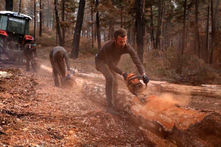 <p>"O zamanlar &ccedil;ocuktum. Bu ormanı kendimiz elimizle diktik ama 2020'de tekrar yandı. G&ouml;z&uuml;m&uuml;z gibi bakıp koruduk, bu zamana getirdik ama yine yanmasına mani olamadık. Bizim ekmek teknemizdi. Kesimde &ccedil;alışan ka&ccedil; k&ouml;y&uuml;n insanı buradan ekmeğini kazanıyordu. Evimiz yansaydı bu ormanın geliri 2 senede bu evleri yeniden yapardı.&nbsp;Bu orman bu hale 60 yılda geldi. Şimdi 60 yıl işimiz kalmadı."</p>
