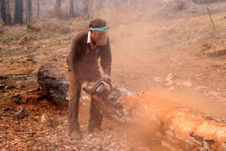 <p>&Ccedil;alışanlardan Sabri Şahin de yangının b&ouml;lgeye &ccedil;ok b&uuml;y&uuml;k zararı&nbsp;olduğuna dikkati &ccedil;ekerek, "Bir an &ouml;nce yeniden yeşillendirelim diye &ccedil;abalıyoruz. Buralar yeşersin diye var g&uuml;c&uuml;m&uuml;zle &ccedil;alışıyoruz.&nbsp;Şu an kesimini yapıyoruz. Temizlendikten sonra dikim olacak." diye konuştu.</p>
