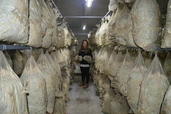 <p>İler ki hedefim ise üretim alanımı genişletmek. 600 metrekare yeterli olmuyor, talebe yetişmiyoruz.”</p>