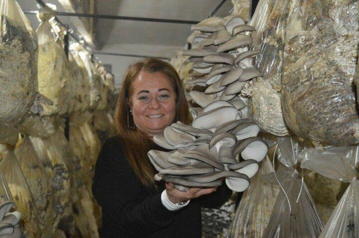 <p>“Artık taleplere yetişemiyoruz”<br />
<br />
Kadın üretici Özlem Çınar, ürününe gelen talepler hakkında yaptığı konuşmasına şöyle devam etti: “4 oda için yaklaşık 45-50 ton hammadde kullanarak en az 8 tonluk bir hasat yapmayı hedefliyoruz...</p>