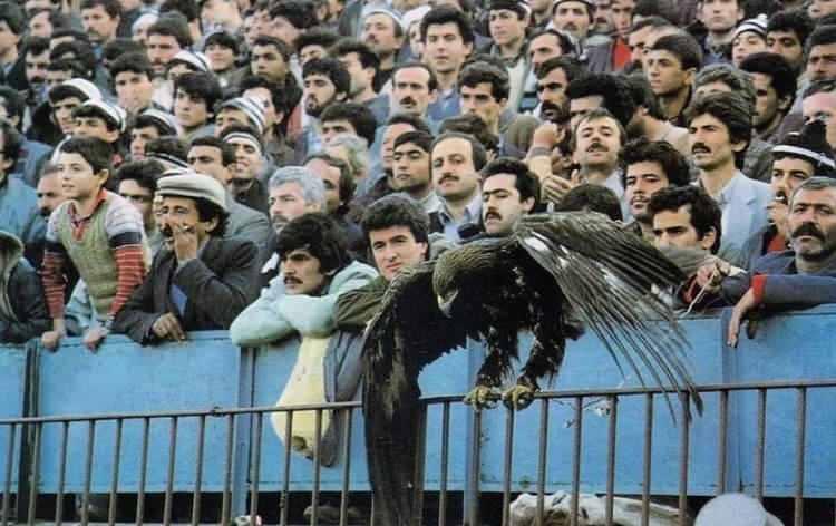 <p>Beşiktaş inönü stadı'nda oynanan bir maç öncesi seremoni gösteriye çıkartılan Kartal. İstanbul 1978</p>
