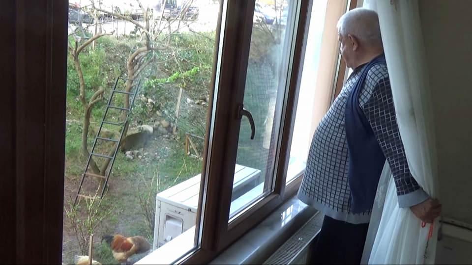 <p>Gördüklerimiz bizim için de sürpriz oldu. Torunum kedinin ismini gözleri yeşil olduğu için ‘zeytin’ koydu. Biz onu ‘zeytin’ diye çağırıyoruz. Gün içinde evimizin önündeki parkı ziyaret etmeye gelenler tavuklarla kedinin birlikte olduğunu görünce cep telefonlarıyla resimlerini çekiyorlar” dedi.</p>

<p> </p>
