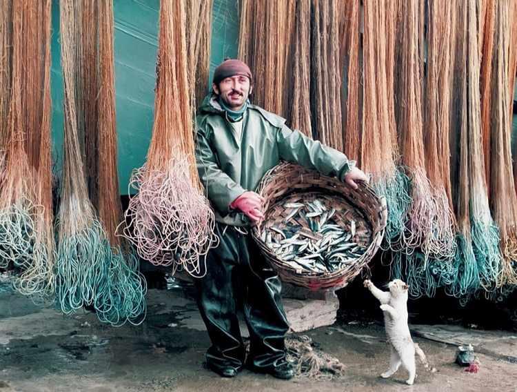 <p>Sarıyer'de bir balıkçı ve dünden beri balık yemeyen bir kedi. İstanbul 1970</p>

<p>Foto: Ozan Sağdıç</p>
