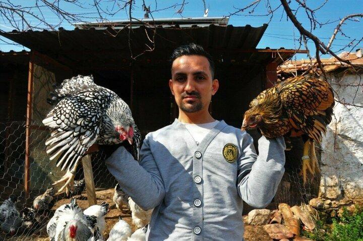 <p>Amerikan ırkı tavuklarım mavi yumurta yumurtluyor. Sağlık y&ouml;n&uuml;nden bir&ccedil;ok faydası bulunan mavi yumurtalara bir anda talep patlaması yaşandı. T&uuml;rkiye'de tanesini 50 liradan, dış &uuml;lkelere 10 dolardan veriyorum. Bu işe başlayalı yaklaşık 4 sene oldu. Şu an 60'a yakın tavuğum var. K&uuml;mesimin kapasitesi sınırlı olduğu i&ccedil;in &ccedil;evremdeki bir&ccedil;ok kişiye de satış yaparak, &ouml;n ayak oldum. Ayda bine yakın yumurta elde ediyorum. &Ccedil;iftlik kurma aşamasındayım. T&uuml;m T&uuml;rkiye'ye bunu yaymayı d&uuml;ş&uuml;n&uuml;yorum&rdquo; diye konuştu.</p>
