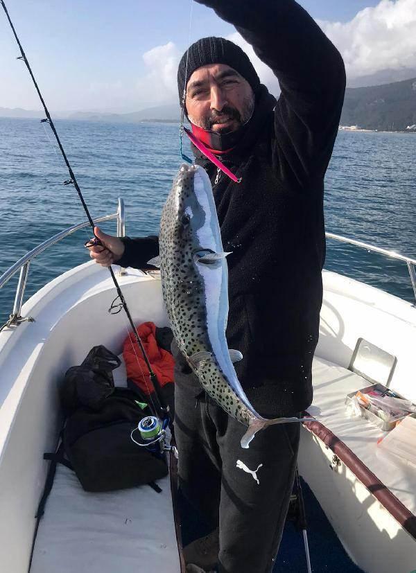 <p><span style="color:rgb(128, 0, 0)"><strong>TÜRKİYE'DEN BALON BALIĞI ALIMI YAPTILAR</strong></span></p>
<p>Doç. Dr. Kanyılmaz, “Bu çalışmalar yurt dışında, bir ülkenin (Kanada) önemli bir firması balon balığı alımıyla ilgili bizimle temasa geçti. Pandemi koşulları süreci etkiledi ama ilgili firma bir miktar balon balığı alımı gerçekleştirdi bilimsel çalışmalarında kullanmak üzere. Çok ciddi bir ağrı kesici ilaç üzerinde çalışılıyor" dedi.</p>