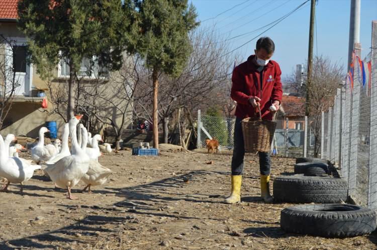 <p>Yetişkin 2 yaşındaki bir dişi kazın yılda 50 ila 70 arasında yumurta verdiğini dile getiren Erkan, şöyle konuştu:</p>
