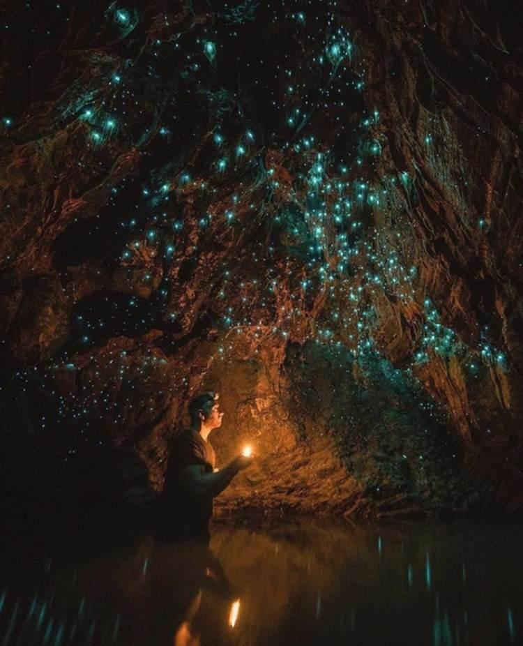 <p><strong>2- ATEŞBÖCEĞİ MAĞARALARI "WAITOMO GLOWWORM CAVES" / YENİ ZELANDA</strong></p>
