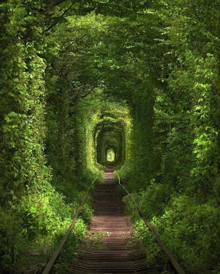 <p><strong>30- RIVNE'DE ROMANTİK AŞK TÜNELİ "TUNNEL OF LOVE" / UKRAYNA</strong></p>
