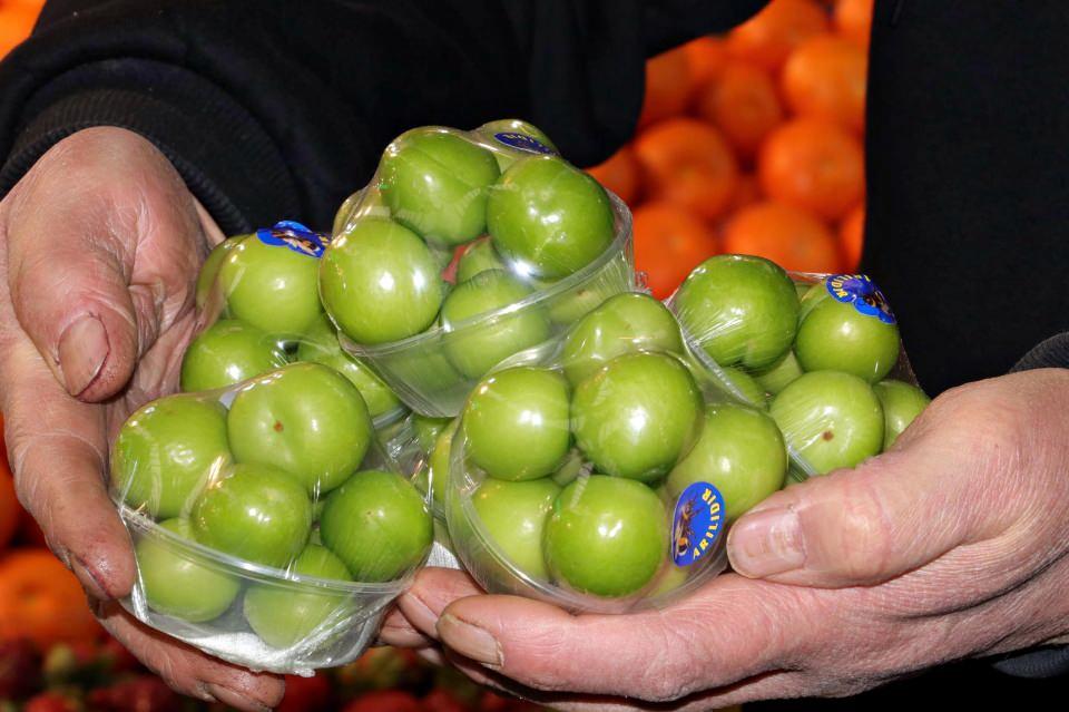 <p>Mart başında başlayan sezonun ilk g&uuml;nlerinde Antalya ve Mersin&rsquo;de kilosu 800 liraya kadar &ccedil;ıkan yeşil erik, fiyatı 3 haftada yarıdan fazla azalarak, Eskişehir&rsquo;deki tezgahlarda 300 liradan satılmaya başlandı. Can erikler, aşeren hamileler i&ccedil;in ise 100'er gramlık paketlere girdi. 12 eriğin bulunduğu paketler, 30 liradan satılıyor.</p>

<p>&nbsp;</p>
