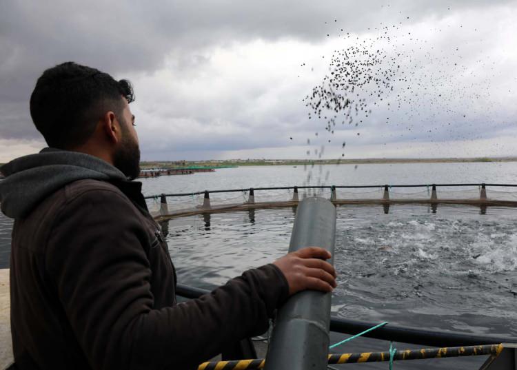 <p><strong>'FIRAT NEHRİ, BALIĞA ÖZEL BİR LEZZET KATIYOR'</strong></p>

<p>Serkan Çiftçi, Fırat Nehri’nin su özelliklerinin iyi olması nedeniyle balığın lezzetli hale geldiğini ifade etti. </p>
