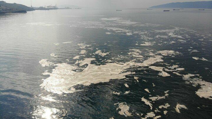 <p>Gemlik Körfezi'nin birçok kısmında suyun yüzeyinde beyazlıklar oluştu. Denizde oluşan renk değişimi havadan görüntülendi.</p>
