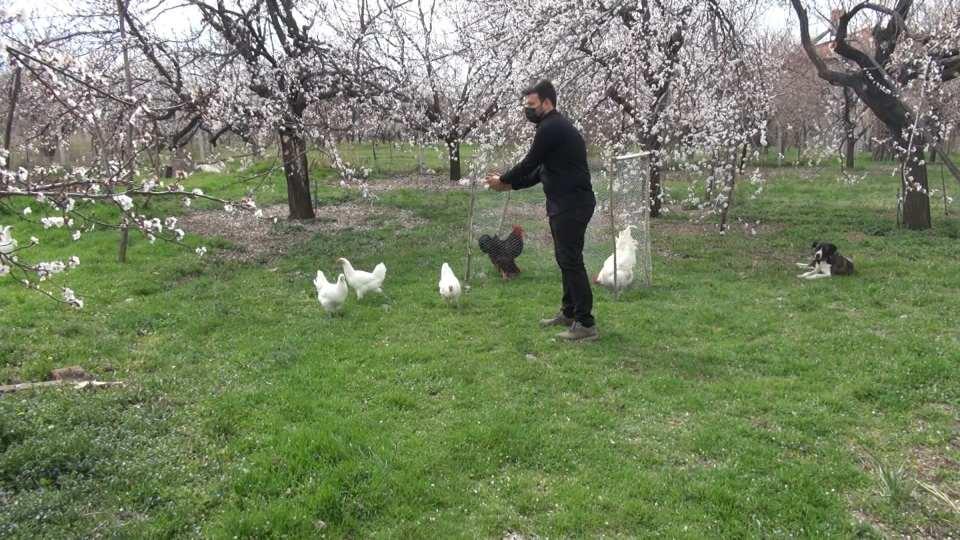 <p>Başta hobi olarak boş zamanımızı değerlendirmek için başladığımız bu işte birkaç ay sonra seri üretime geçtik. Farklı türde kuluçkalık yumurta üretiyoruz. </p>
