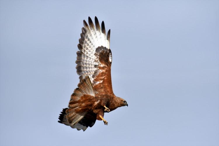 <p>Havaların ısınmaya başladığı il&ccedil;ede, Han&ccedil;erli D&uuml;z&uuml; mevkisindeki &ccedil;ayırlık alan, karların erimesiyle sularla kaplandı.</p>

<p>&nbsp;</p>
