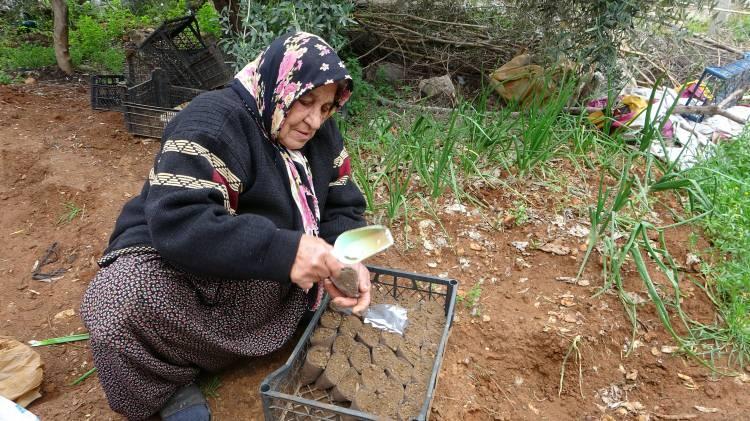 <p>75 yaşındaki Şadiye Aydın toprakla uğraştığı için sağlıklı ve mutlu olduğunun altını çizerek, "Fide satıyorum. Patlıcan, biber, domates, salatalık her fideyi üretiyorum. Elim ayağım toprağa değdiği için mutluyum. </p>