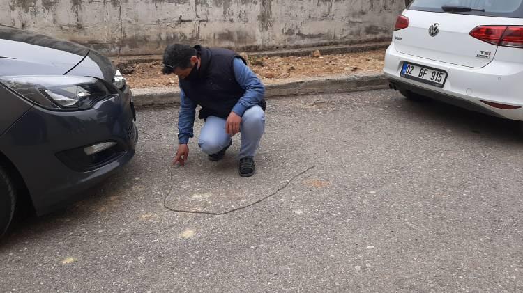 <p>Çam ağaçları üzerindeki beyaz pamuksu tırtıl keseleriyle kendini belli eden çam keseböceklerinin bir kelebek türü olduğu, tırtılların orman zararlısı bir böcek olduğu biliniyor.</p>