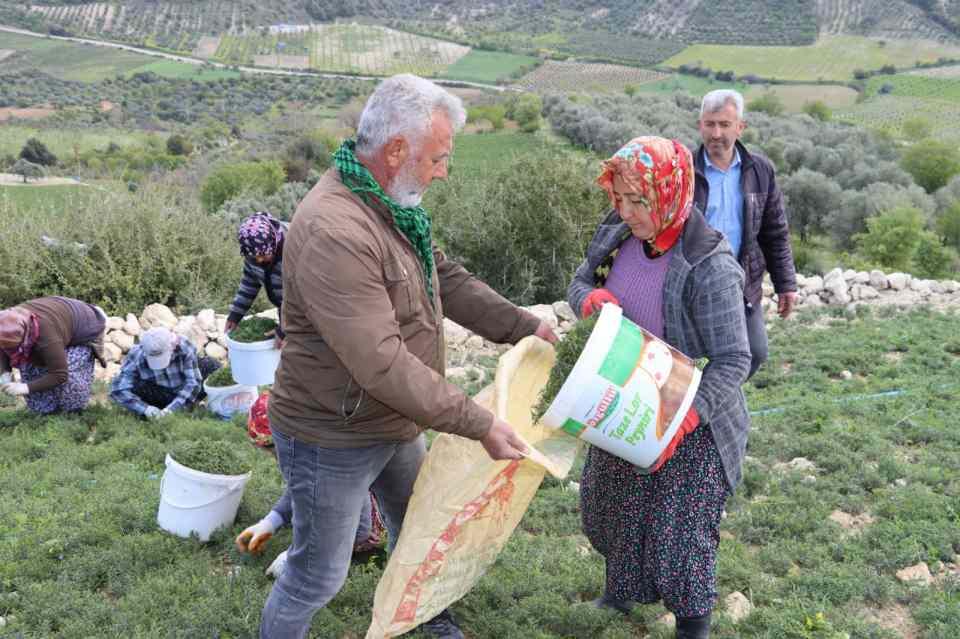<div>Biz tüccarlara kilosunu 20 TL’de satıyoruz hem tüccarlar kazanıyor hem biz kazanıyoruz” dedi.</div>
<div> </div>
<div> </div>