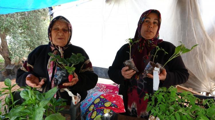 <p>Arife Aydın ise “Kayınvalidem hepimizden çok çalıştı. Burada bunlarla uğraşmak bizleri ve onu dinç tuttu, bizlere huzur verdi. Dışarıda pandemiyi hatırlamadı bile. Pandemi ile birlikte en küçük toprağı olan bile ekmeye başladı ve fide satışları hızlandı. Şuan herkes gelip soruyor, alıyor” diye konuştu.</p>