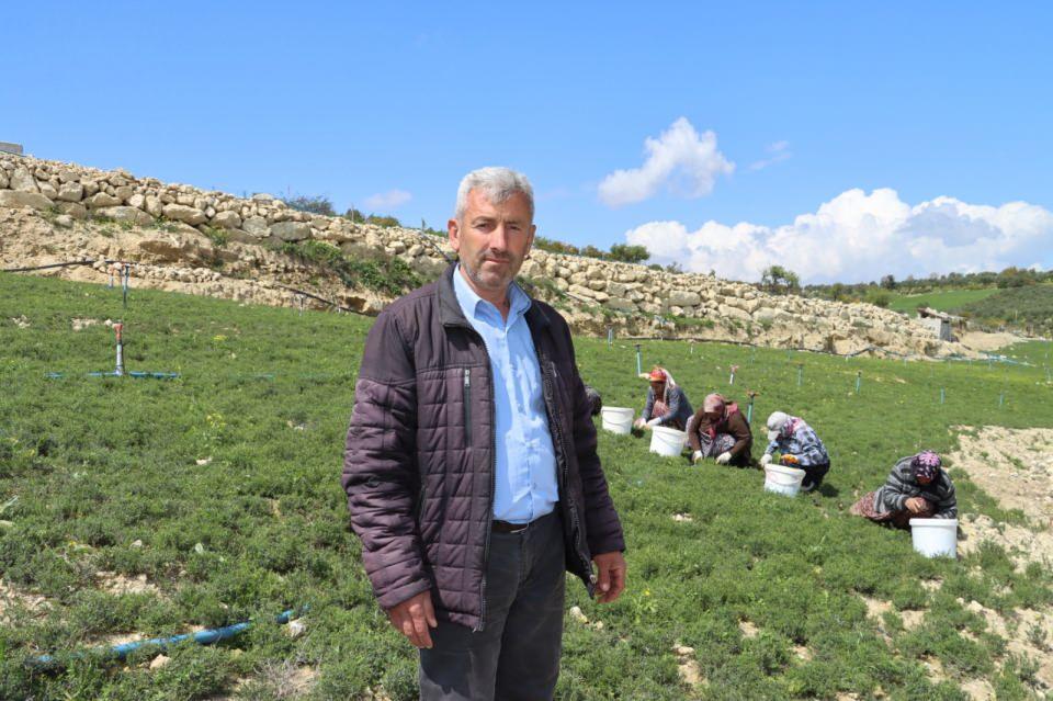 <p>Köyün zaten tek geçim kaynağı zahter diyebiliriz. Şubat ayının sonunda başladığımız zahter hasadını haziran ayına kadar devam ettiririz. Yoğun bir talep var, Türkiye’nin birçok iline zahteri biz gönderiyoruz.</p>