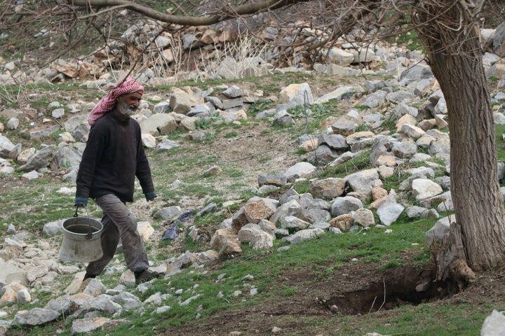 <p>&Ccedil;atak il&ccedil;esine 42 kilometre uzaklıkta, Van, Siirt ve Hakkari illerinin sınırını belirleyen Kato Dağı eteklerindeki 50 haneli &Ouml;vecek Mahallesi, 1995 yılında g&uuml;venlik nedeniyle boşaltıldı. Mahallede oturan 7 &ccedil;ocuklu Ayşe ve Derviş Muhan &ccedil;ifti de Van&rsquo;a yerleşti. Burada iş imk&acirc;nı bulamayan Derviş Muhan, ailesiyle birlikte T&uuml;rkiye'nin farklı illerine gitti. Memleket &ouml;zlemi &ccedil;eken aile, yıllar sonra tekrar Van&rsquo;a d&ouml;nd&uuml;. Bir s&uuml;re kent merkezinde yaşayan Ayşe ve Derviş Muhan &ccedil;ifti, 11 yıl &ouml;nce, bir zamanlar boşaltmak zorunda kaldıkları mahalleye yerleşme kararı aldı. Derviş ve Ayşe Muhan &ccedil;ifti, evlerin harabeye d&ouml;nd&uuml;ğ&uuml; mahallede, bir kısmı sağlam kalan okulu d&uuml;zenleyerek buraya yerleşti. &Ccedil;iftin &ccedil;ocukları ise Van kent merkezinde dedelerinin yanında yaşamlarını s&uuml;rd&uuml;r&uuml;yor.</p>

