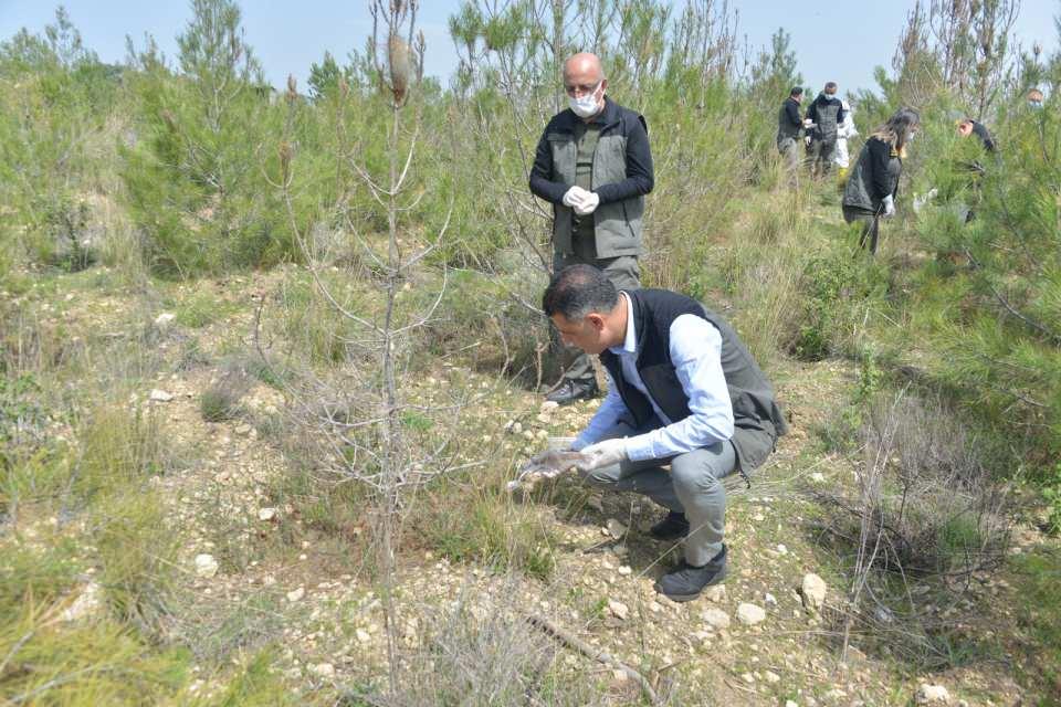 <p>Laboratuvarda ürettiğimiz 20 binin üzerinde larva ve erişkin böceği ormanlara bırakmayı hedefliyoruz" dedi.</p>