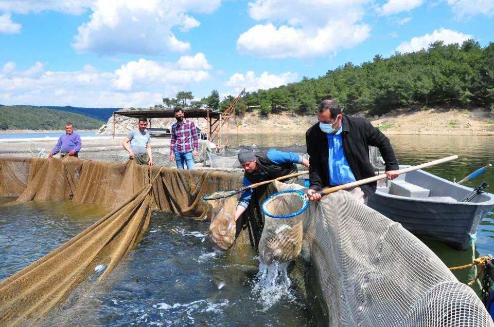 <p><strong>'TÜRK SOMONUNUN BÜYÜK KISMI RUSYA'YA GİDİYOR'</strong></p>
<p>İl genelindeki en büyük alabalık üretim tesislerinin bulunduğu Soma Sevişler Baraj Gölü'nde alabalık tesisi bulunan Su Ürünleri Yüksek Mühendisi Ahmet Abdullahoğlu, 500 kapasitelik alabalık ve sazan tesisinde yılda ortalama 300 ton alabalık ve 30 ton kadar sazan üretimi gerçekleştirdiğini söyledi.</p>