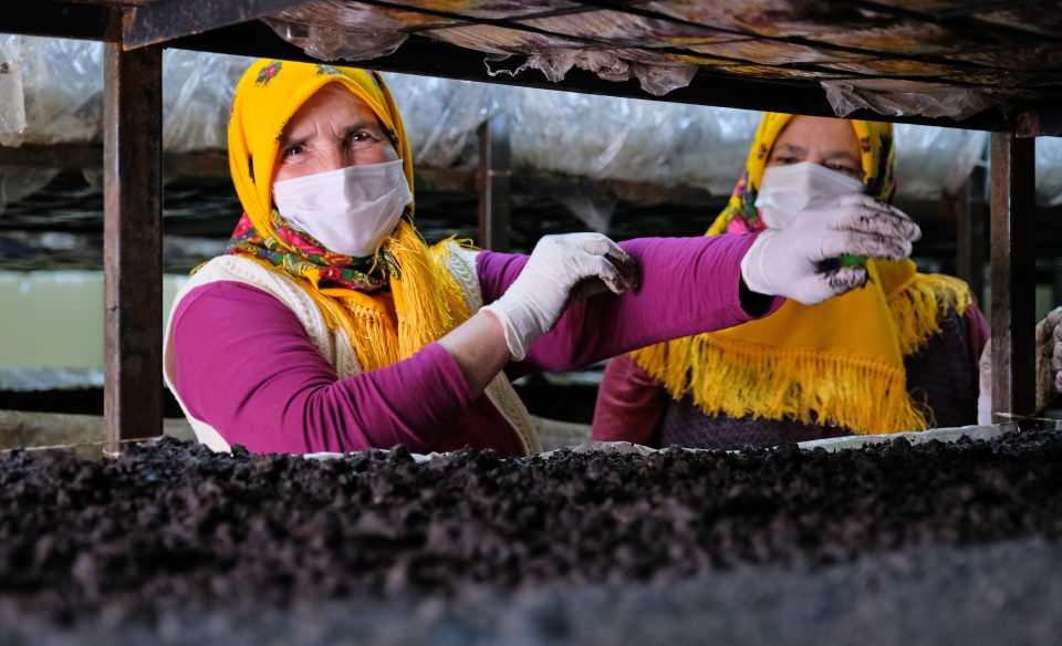 <p>İlk üretimimizde 25 ton mantar aldık. İnşallah bu hasadımızda 35- 40 ton arası mantar hasadı yapmak istiyoruz. Ürettiğimiz mantarları birçok ile gönderiyoruz. Organik olduğu için tüccarlar sürekli soruyorlar. </p>