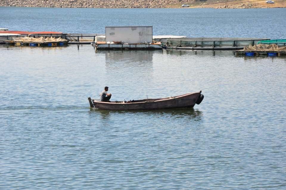 <p>Koronavirüse karşı bağışıklık sistemini güçlendirmede önerilen besinlerin başında gelen bir ürün. </p>