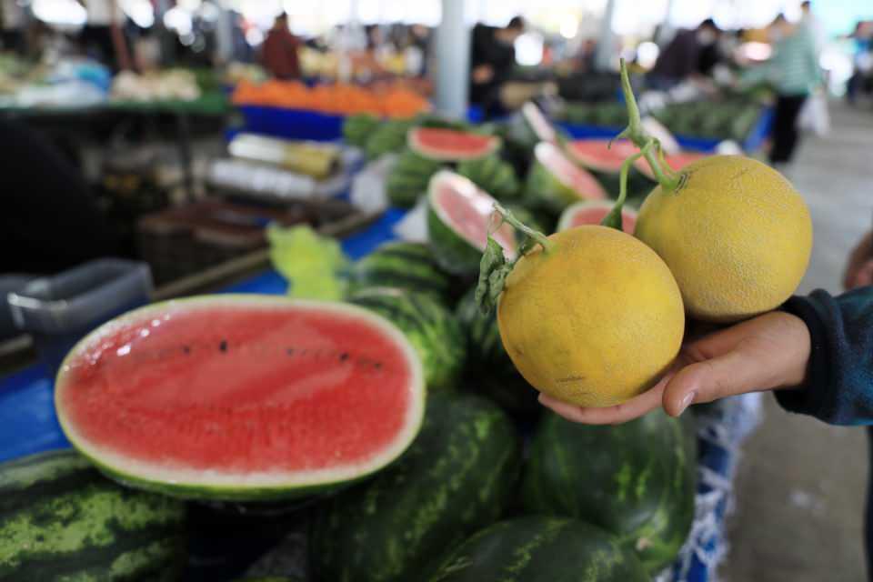 <div>Dilimle satış fikrinin çok iyi olduğunu belirten Hakan Kural ise almak istese kendisinin de dilimleri tercih edeceğini kaydetti.</div>
<div> </div>
<div><strong>KAVUN DA PAHALI</strong></div>
<div> </div>
<div>Karpuzun yanı sıra kavun da piyasaya yüksek fiyatla girdi. Portakal büyüklüğündeki kavun yaklaşık 400 gram gelirken adet fiyatı 20 TL'den tezgaha çıktı. Fiyatının yüksekliği nedeniyle kavuna pek ilgi olmadığı görüldü.</div>
